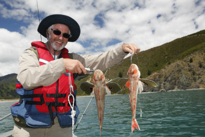 Brian Elvy Gurnard double Nov 2013 400 Brian Elvy Gurnard double Nov 2013 400